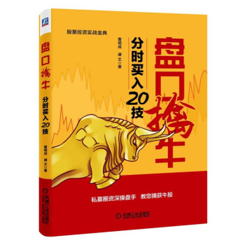 盘口擒牛：分时买入20技 pdf epub mobi 电子书 下载