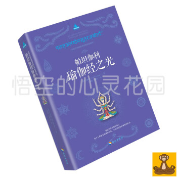 帕坦伽利瑜伽經之光 現代瑜伽之父《瑜伽之光》作者艾揚格2016年扛鼎之作 正版暢銷書籍 pdf epub mobi 電子書 下載