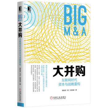 大並購：互聯網時代資本與戰略重構 pdf epub mobi 電子書 下載