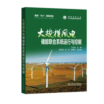 大规模风电储能联合系统运行与控制 pdf epub mobi 电子书 下载