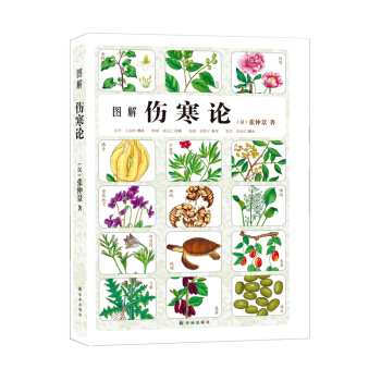 图解伤寒论 pdf epub mobi 电子书 下载