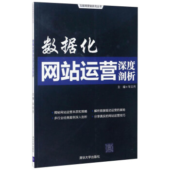 互联网营销系列丛书：数据化网站运营深度剖析 pdf epub mobi 电子书 下载