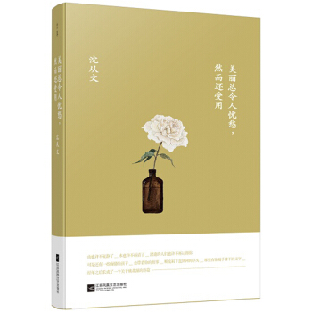 美丽总令人忧愁，然而还受用 pdf epub mobi 电子书 下载