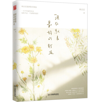 現在就是最好的時光 pdf epub mobi 電子書 下載