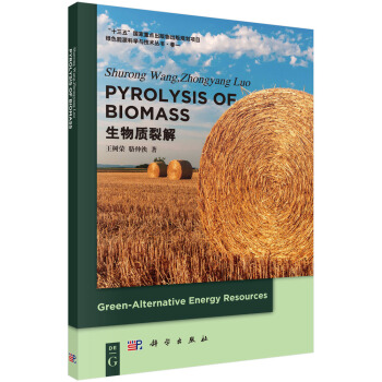 绿色能源科学与技术丛书·卷一：生物质热解（英文版） [Pyrolysis of Biomass] pdf epub mobi 电子书 下载
