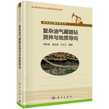 復雜油氣藏隨鑽測井與地質導嚮 pdf epub mobi 電子書 下載