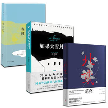 2016央视中国好书获奖作品 望春风+北鸢+如果大雪封门 pdf epub mobi 电子书 下载