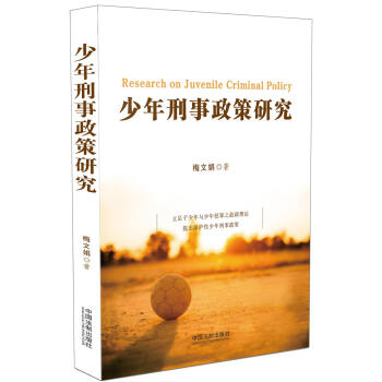 少年刑事政策研究 pdf epub mobi 电子书 下载