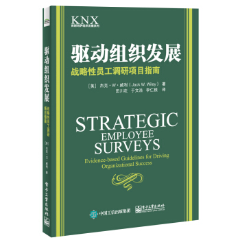 驱动组织发展：战略性员工调研项目指南 pdf epub mobi 电子书 下载