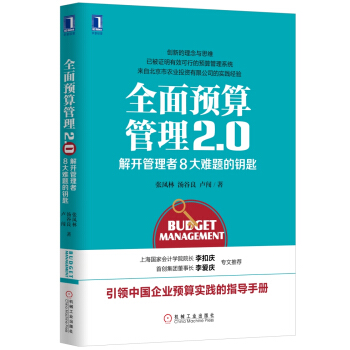 全麵預算管理2.0：解開管理者8大難題的鑰匙 pdf epub mobi 電子書 下載