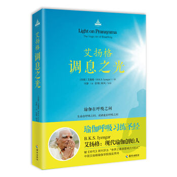 艾揚格調息之光 pdf epub mobi 電子書 下載