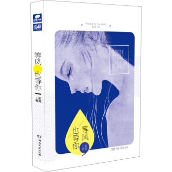 等风，也等你 pdf epub mobi 电子书 下载