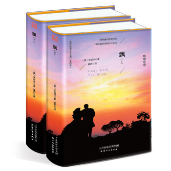 飄(套裝上下冊 精裝名譯 原版全譯本 新版)