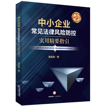 中小企业常见法律风险防控：实用精要指引 pdf epub mobi 电子书 下载