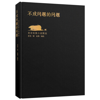 不成问题的问题 pdf epub mobi 电子书 下载