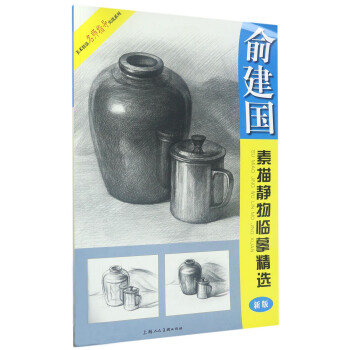 美术技法名师指导实战系列：俞建国素描静物临摹精选（新版） pdf epub mobi 电子书 下载