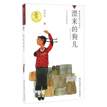漂来的狗儿/黄蓓佳倾情小说系列 pdf epub mobi 电子书 下载