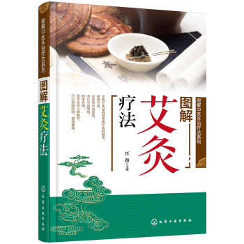图解中医外治疗法系列--图解艾灸疗法 pdf epub mobi 电子书 下载