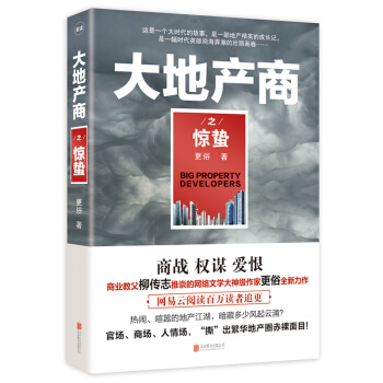 大地产商之惊蛰 pdf epub mobi 电子书 下载