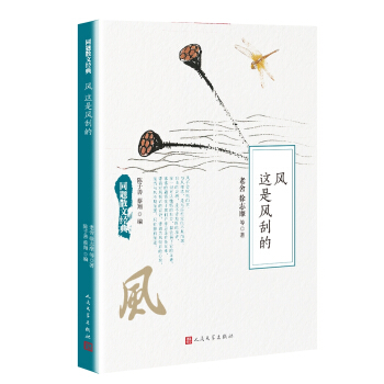 同题散文经典:风 这是风刮的