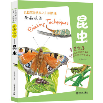 绘画技法——昆虫