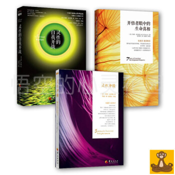 灵性开悟三部曲 灵性的自我开战+灵性冲撞+开悟者眼中的生命真相 pdf epub mobi 电子书 下载