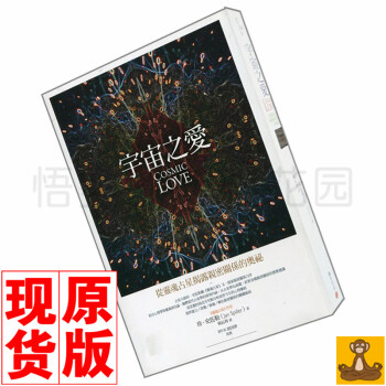 台版现货书 宇宙之爱|从灵魂占星揭露亲密关系的奥秘 珍 史匹勒 占星学习书籍 星座占卜书 pdf epub mobi 电子书 下载