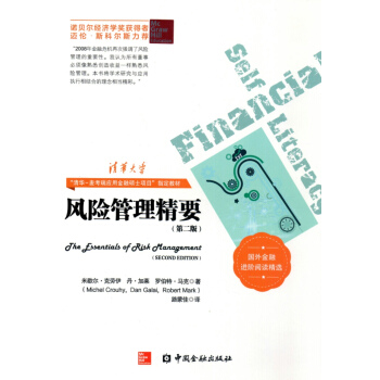 风险管理精要（第二版） pdf epub mobi 电子书 下载