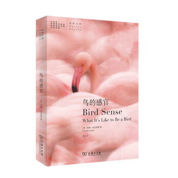 鳥的感官