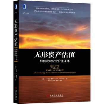 无形资产估值：如何发现企业价值洼地 [Equity Value Enhancement: A Tool to Leverage Human] pdf epub mobi 电子书 下载