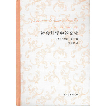 社會科學中的文化 pdf epub mobi 電子書 下載