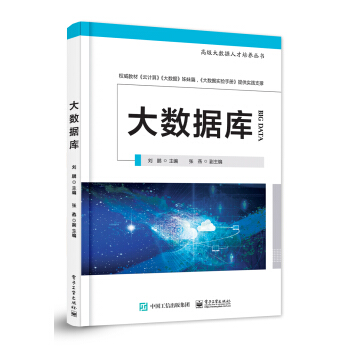 大數據庫——高級大數據人纔培養叢書 pdf epub mobi 電子書 下載