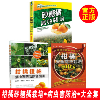 【正版書籍】砂糖橘高效栽培 高效種植直通車 病蟲害防治 砂糖橘災害性天氣的預防 農藥的稀 pdf epub mobi 電子書 下載
