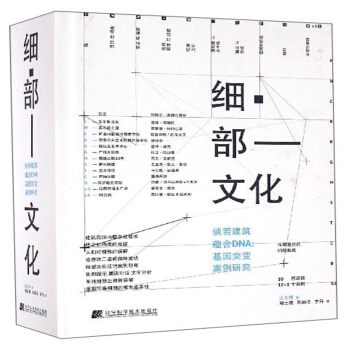细部文化 建筑细部节点案例解析 12位建筑设计大师扎哈哈迪德等访谈书籍