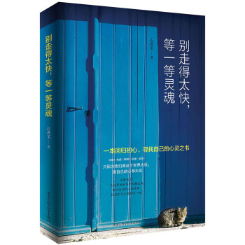 别走得太快，等一等灵魂 pdf epub mobi 电子书 下载