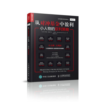 从对冲基金中盈利 小人物的获利策略 pdf epub mobi 电子书 下载