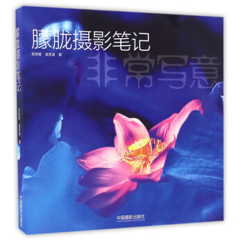 朦朧攝影筆記 pdf epub mobi 電子書 下載