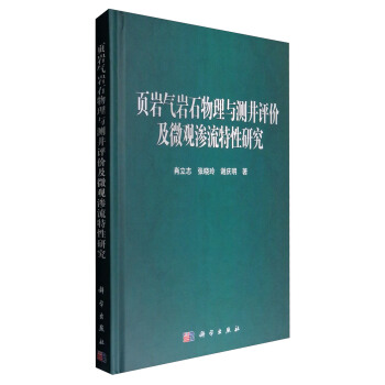 页岩气岩石物理与测井评价及微观渗流特性研究 pdf epub mobi 电子书 下载