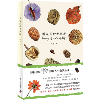 看花是种世界观 pdf epub mobi 电子书 下载