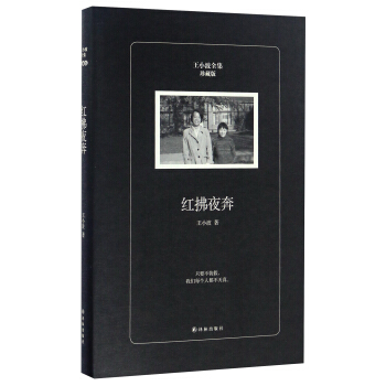 红拂夜奔（珍藏版）/王小波全集 pdf epub mobi 电子书 下载