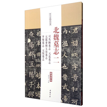 历代名家碑帖经典：北魏墓志二 司马昞墓志元遥墓志元珽妻穆玉容墓志李璧墓志元倪墓志 pdf epub mobi 电子书 下载