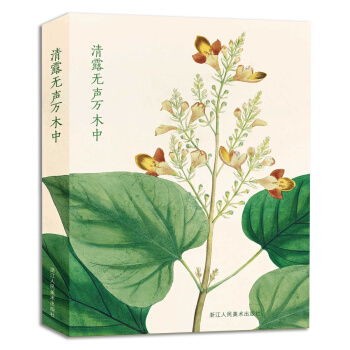 清露无声万木中（明信片） pdf epub mobi 电子书 下载