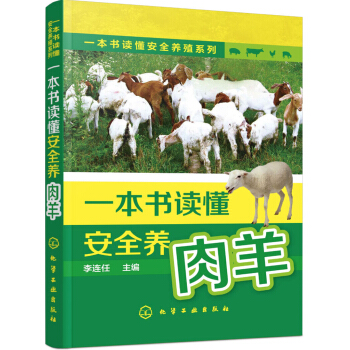 一本书读懂安全养殖系列--一本书读懂安全养肉羊 pdf epub mobi 电子书 下载