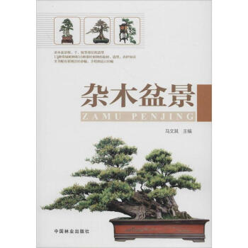 杂木盆景