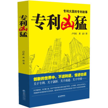 专利凶猛：一部关于中国企业专利战略的商战小说 pdf epub mobi 电子书 下载