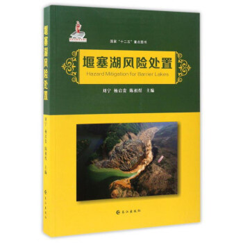 堰塞湖风险处置 pdf epub mobi 电子书 下载