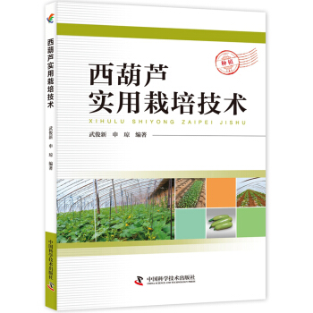 西葫蘆實用栽培技術