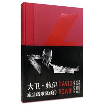 大卫·鲍伊 pdf epub mobi 电子书 下载