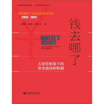 钱去哪了：大资管框架下的资金流向和机制 中国理财产品市场发展与评价（2013～2017） pdf epub mobi 电子书 下载