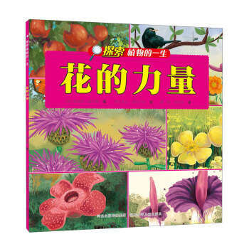探索植物的一生：花的力量 pdf epub mobi 电子书 下载